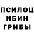 Галлюциногенные грибы мицелий Richard Glady