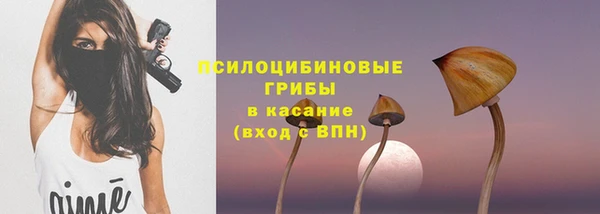 дмт Арсеньев