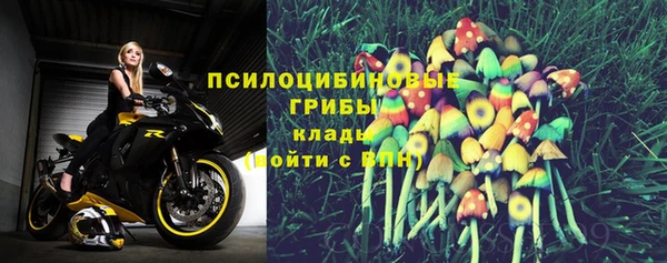 стаф Баксан