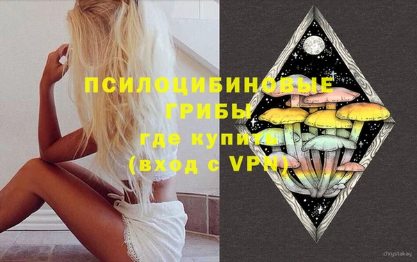 дмт Арсеньев