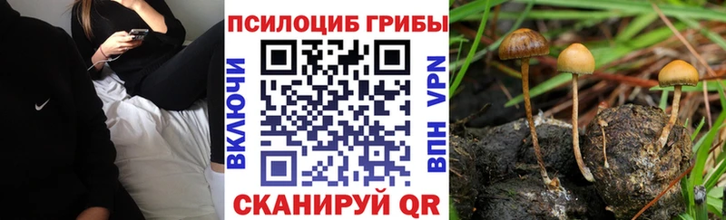 Псилоцибиновые грибы Magic Shrooms Талдом