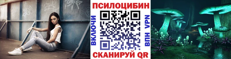 гидра ссылка  Талдом  Псилоцибиновые грибы мицелий 